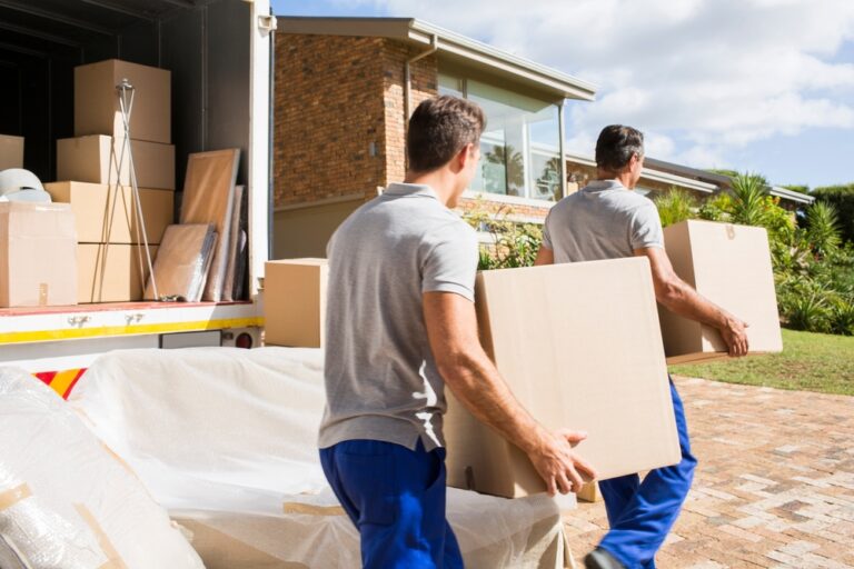 lutz moving company lutz moving companies best movers