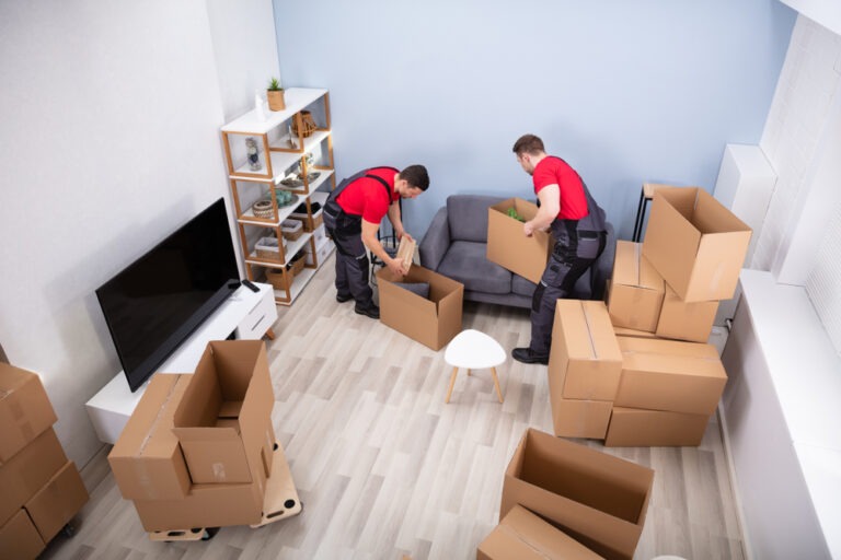 best oldsmar movers satisfied customers how many movers